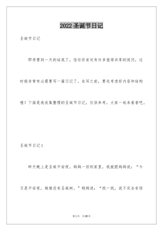 2024圣诞节日记_60