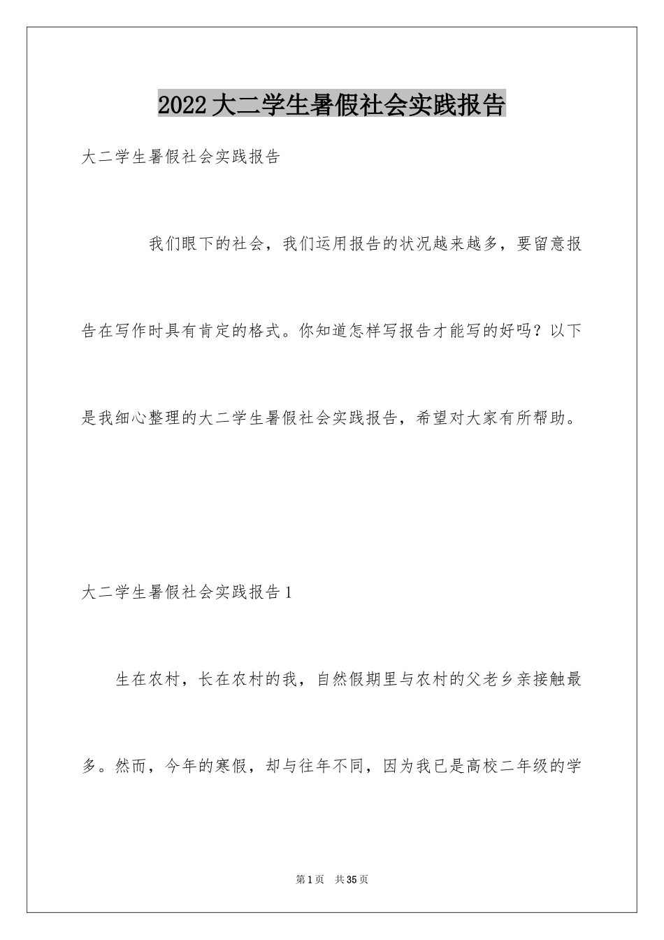 2024大二学生暑假社会实践报告_第1页