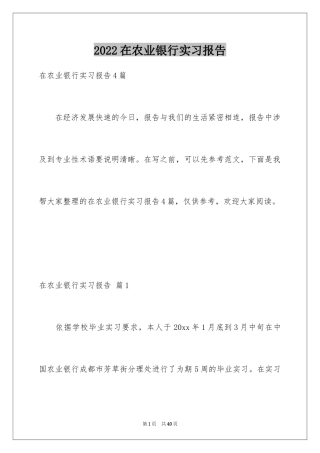 2024在农业银行实习报告_3