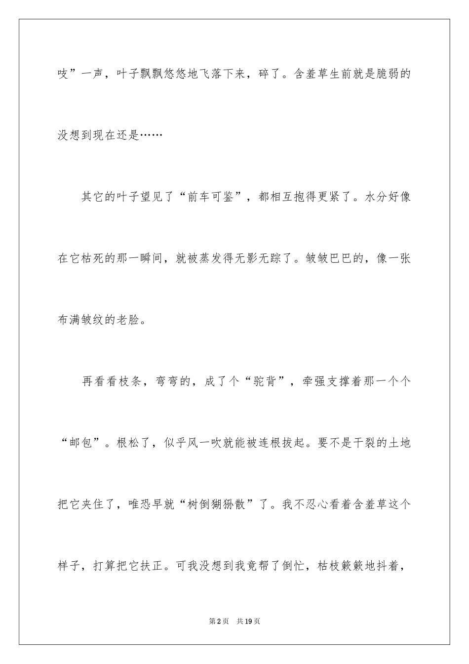 2024含羞草观察日记_6_第2页