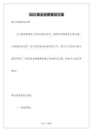 2024商业促销策划方案_1