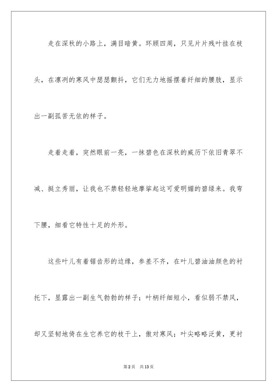 2024写冬青的作文_33_第2页