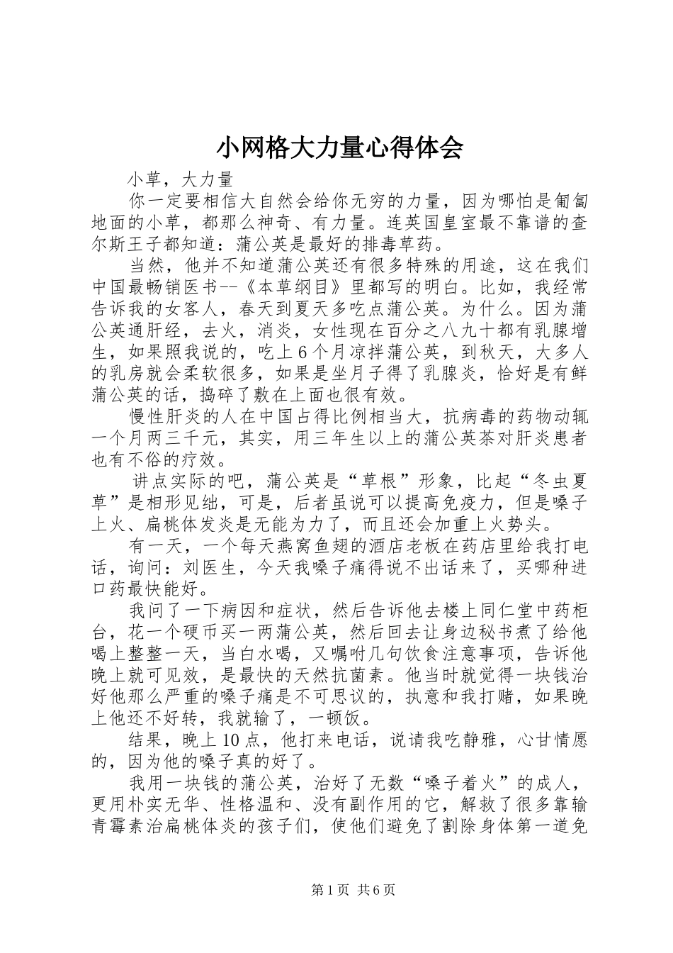 小网格大力量心得体会_第1页