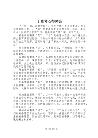 于贵琴心得体会