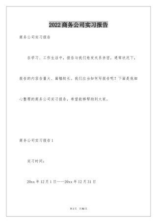 2024商务公司实习报告