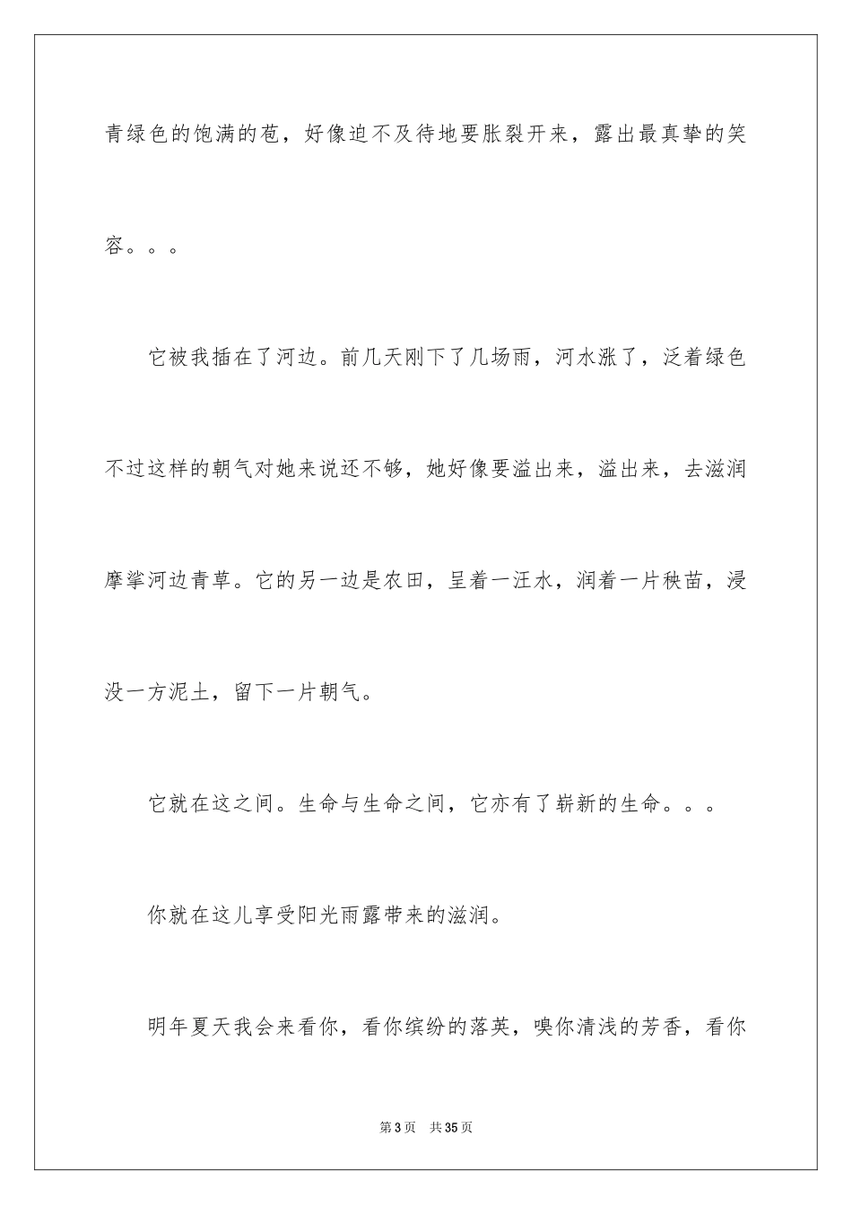 2024夏天初二作文_2_第3页