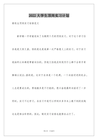 2024大学生顶岗实习计划_1
