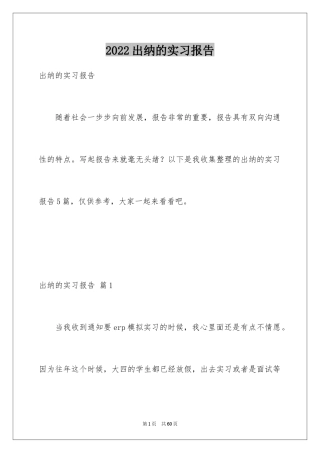 2024出纳的实习报告_39