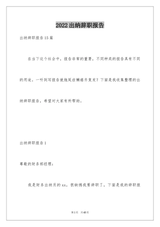 2024出纳辞职报告_29