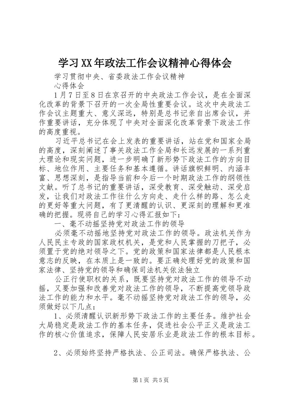 学习XX年政法工作会议精神心得体会_第1页