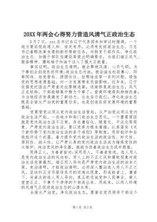20XX年两会心得努力营造风清气正政治生态