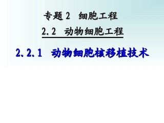动物细胞核移植技术