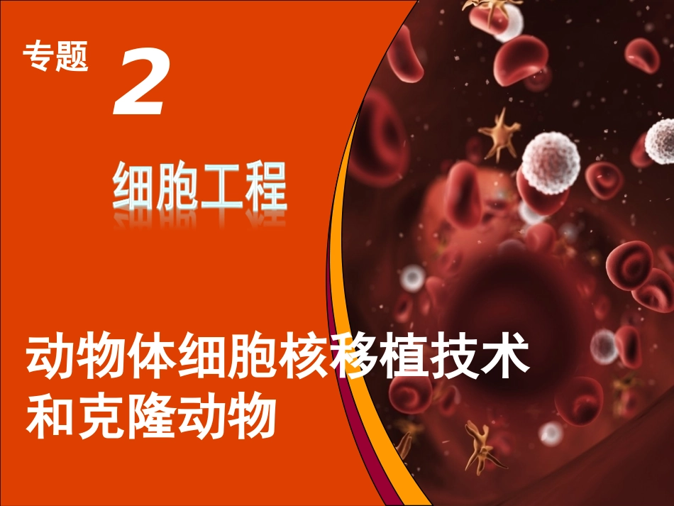 动物细胞核移植_第3页