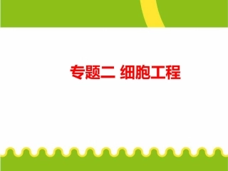 动物细胞工程核移植