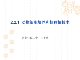 动物细胞培养和核移植技术原创