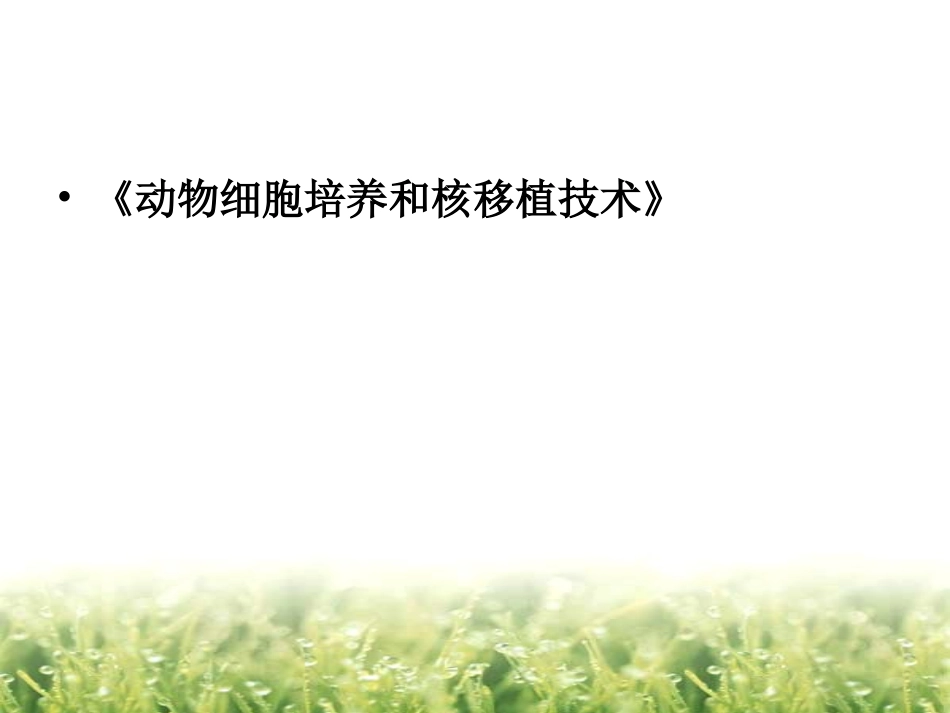 动物细胞培养和核移植技术的问题设计_第1页