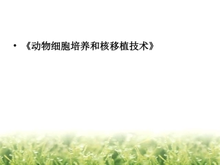 动物细胞培养和核移植技术的问题设计