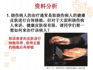 动物细胞培养和核移植2