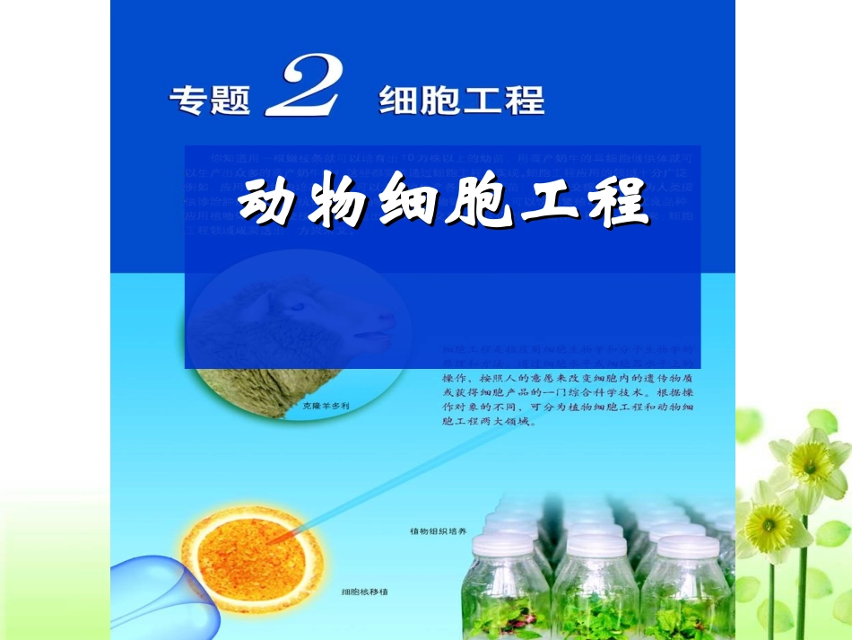 动物细胞培养和核移植技术(新课)_第1页