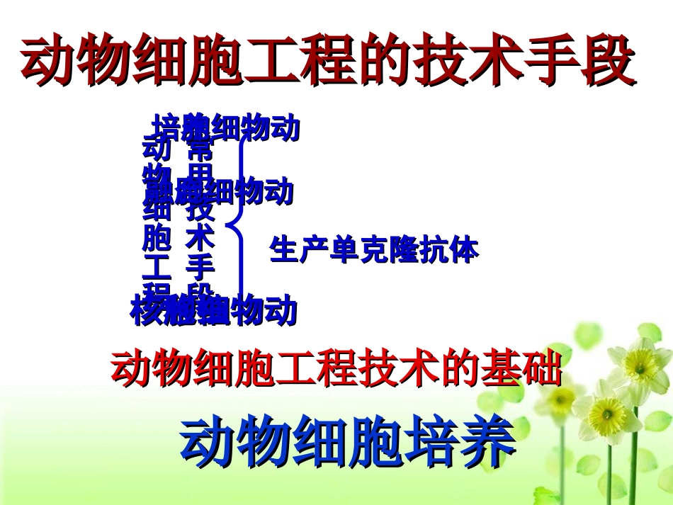 动物细胞培养和核移植技术(新课)_第2页