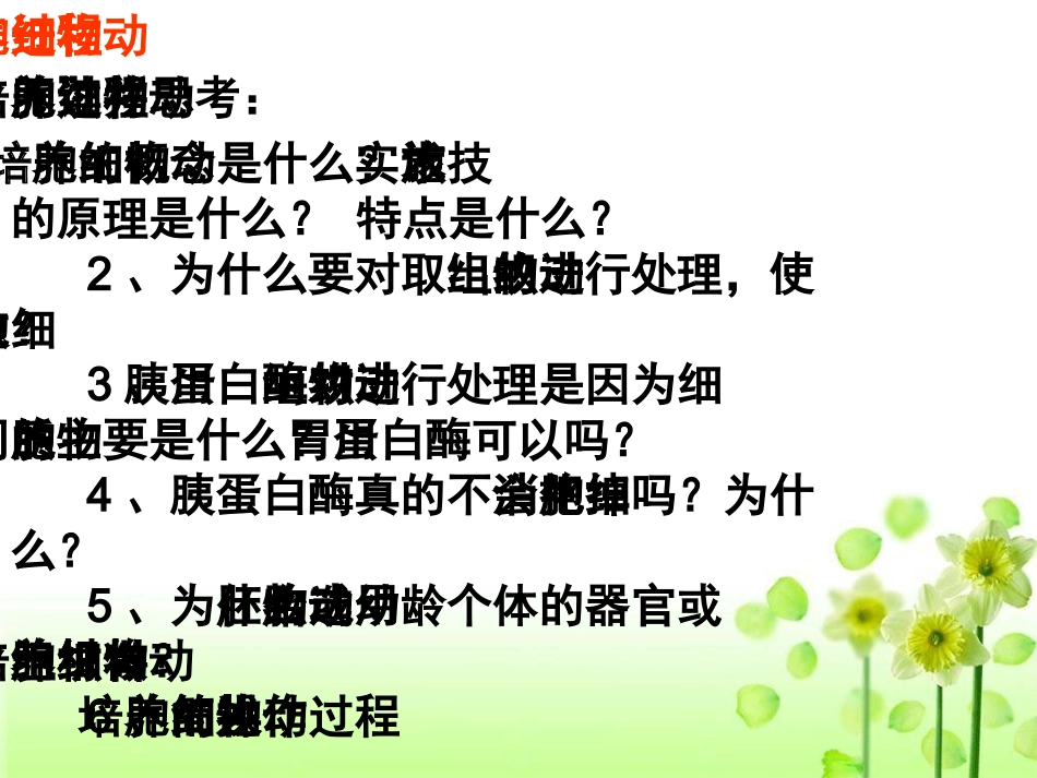 动物细胞培养和核移植技术(新课)_第3页