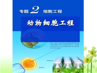 动物细胞培养和核移植技术(新课)