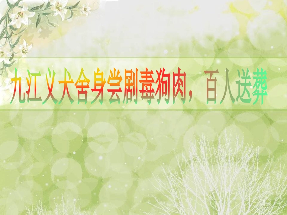 动物感人故事_第1页