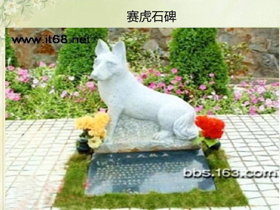 动物感人故事_第2页