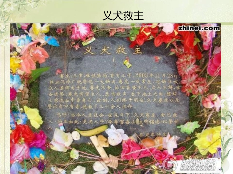 动物感人故事_第3页