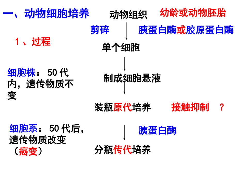 动物细胞培养和核移植2huang_第2页
