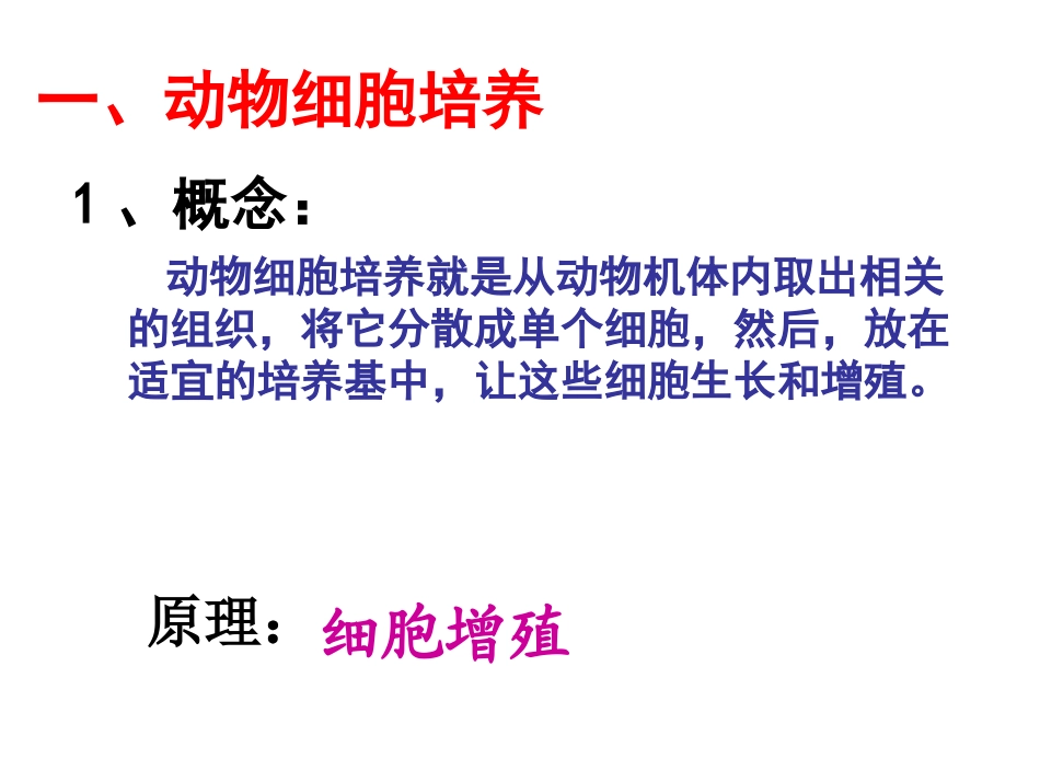 动物细胞培养和核移植技术(讲课)_第3页