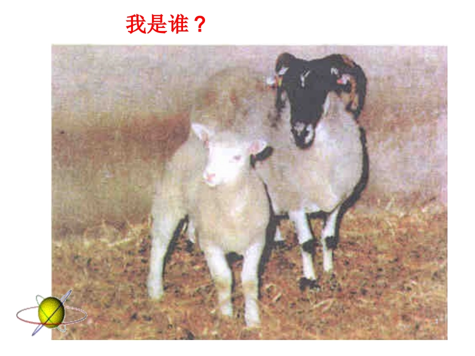 动物体细胞核移植技术_第1页