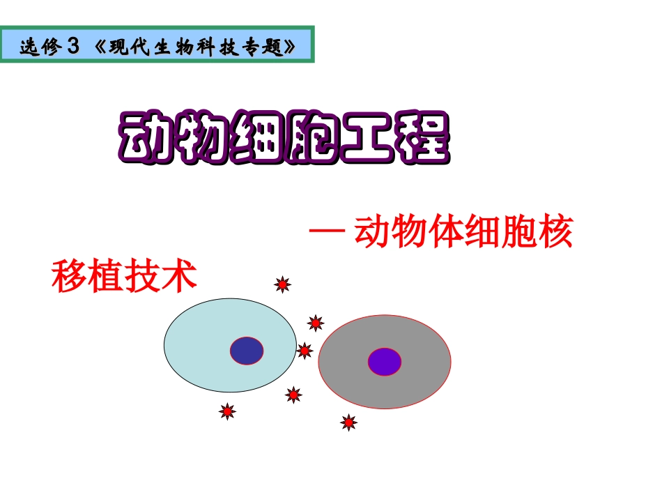动物体细胞核移植技术_第2页