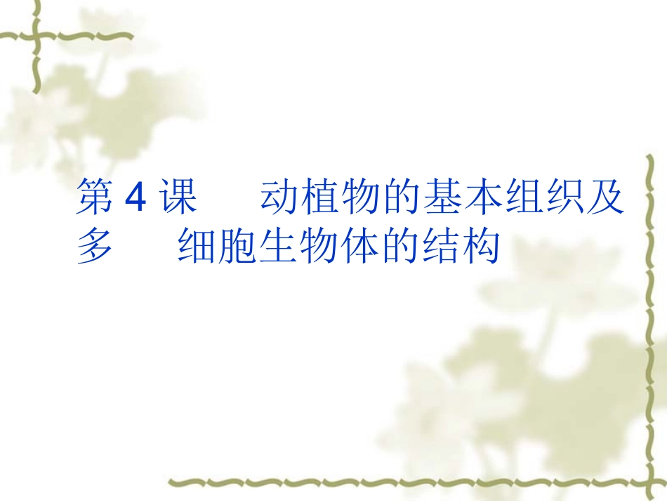 动植物的基本组织及多细胞生物体的结构_第1页