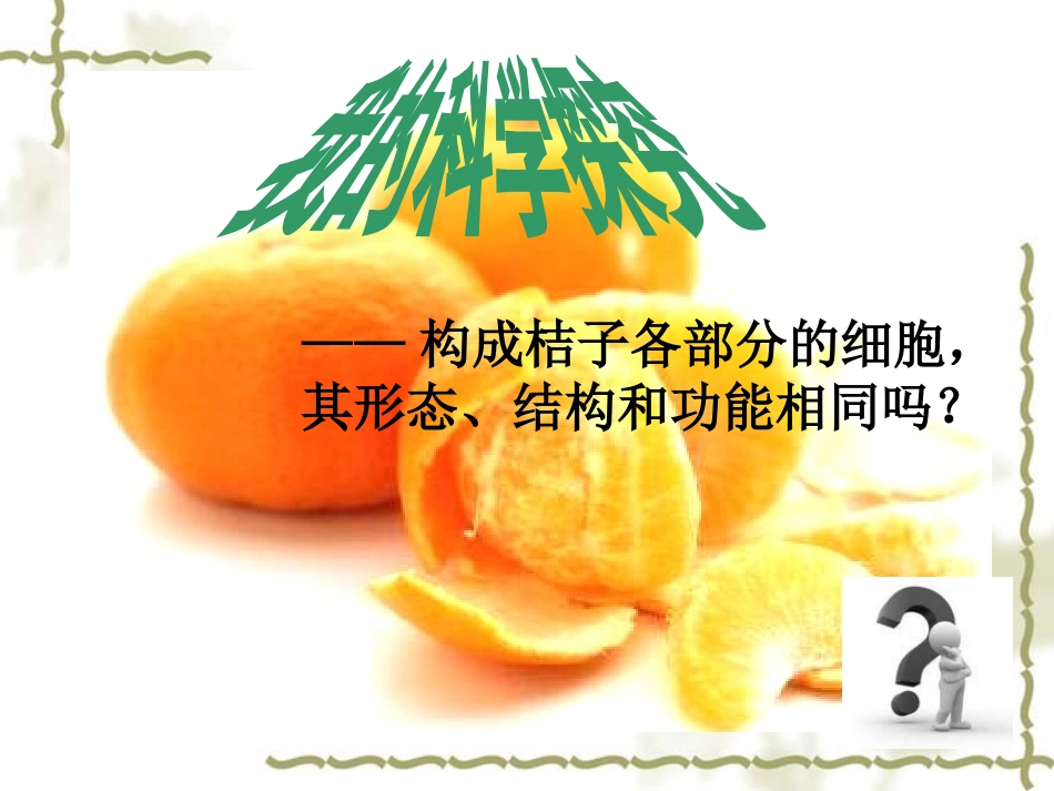动植物的基本组织及多细胞生物体的结构_第3页