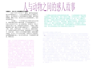 动物之间的感人故事专题版