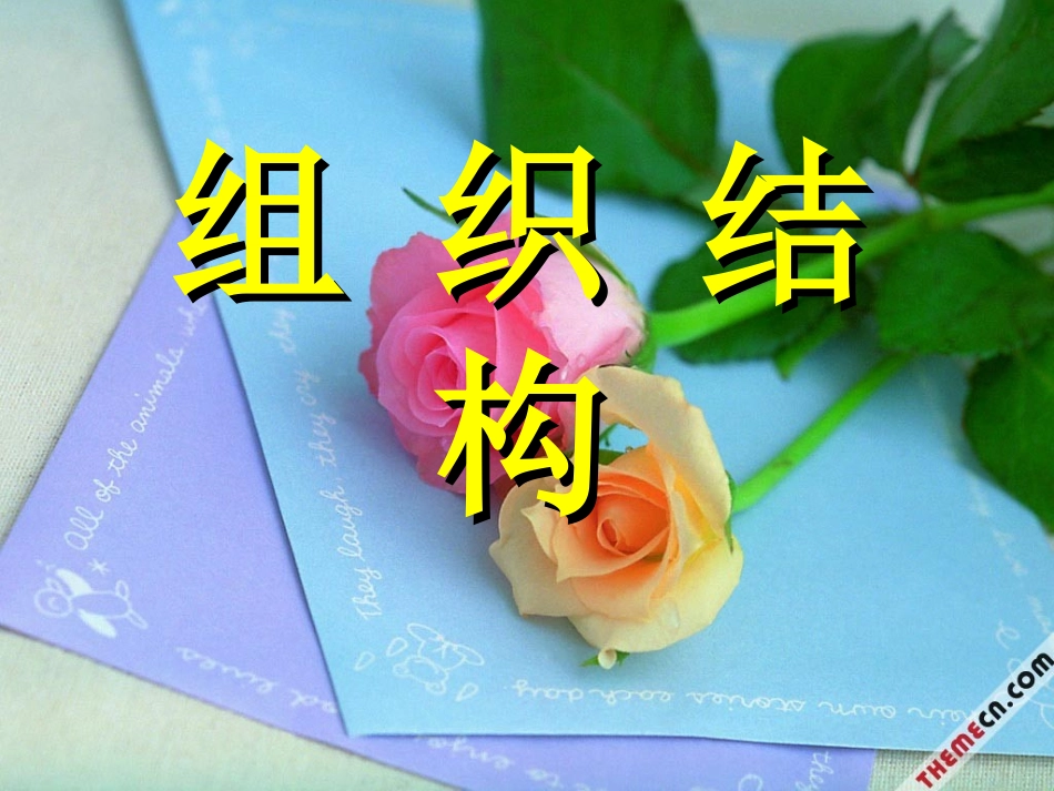 动员大会流程_第3页