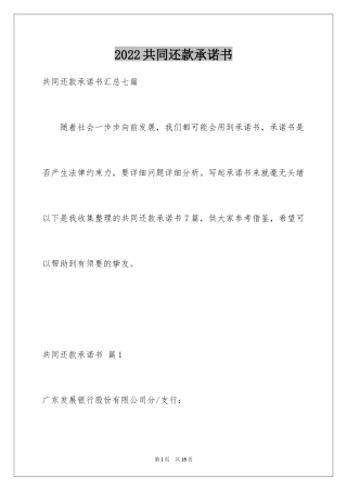 2024共同还款承诺书_31