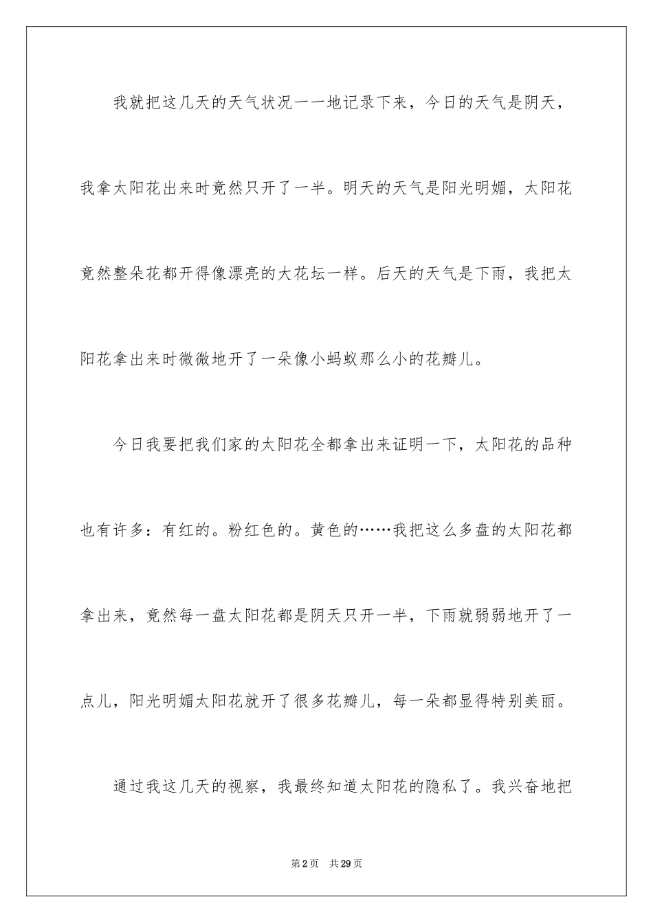 2024太阳花的作文_2_第2页