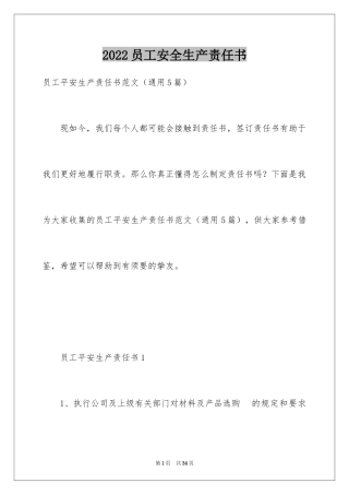 2024员工安全生产责任书_6