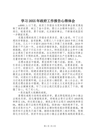 学习20XX年政府工作报告心得体会