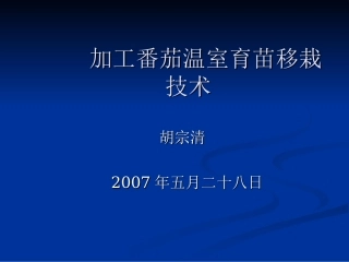 加工番茄温室育苗移栽技术