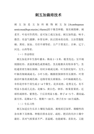 刺五加栽培技术