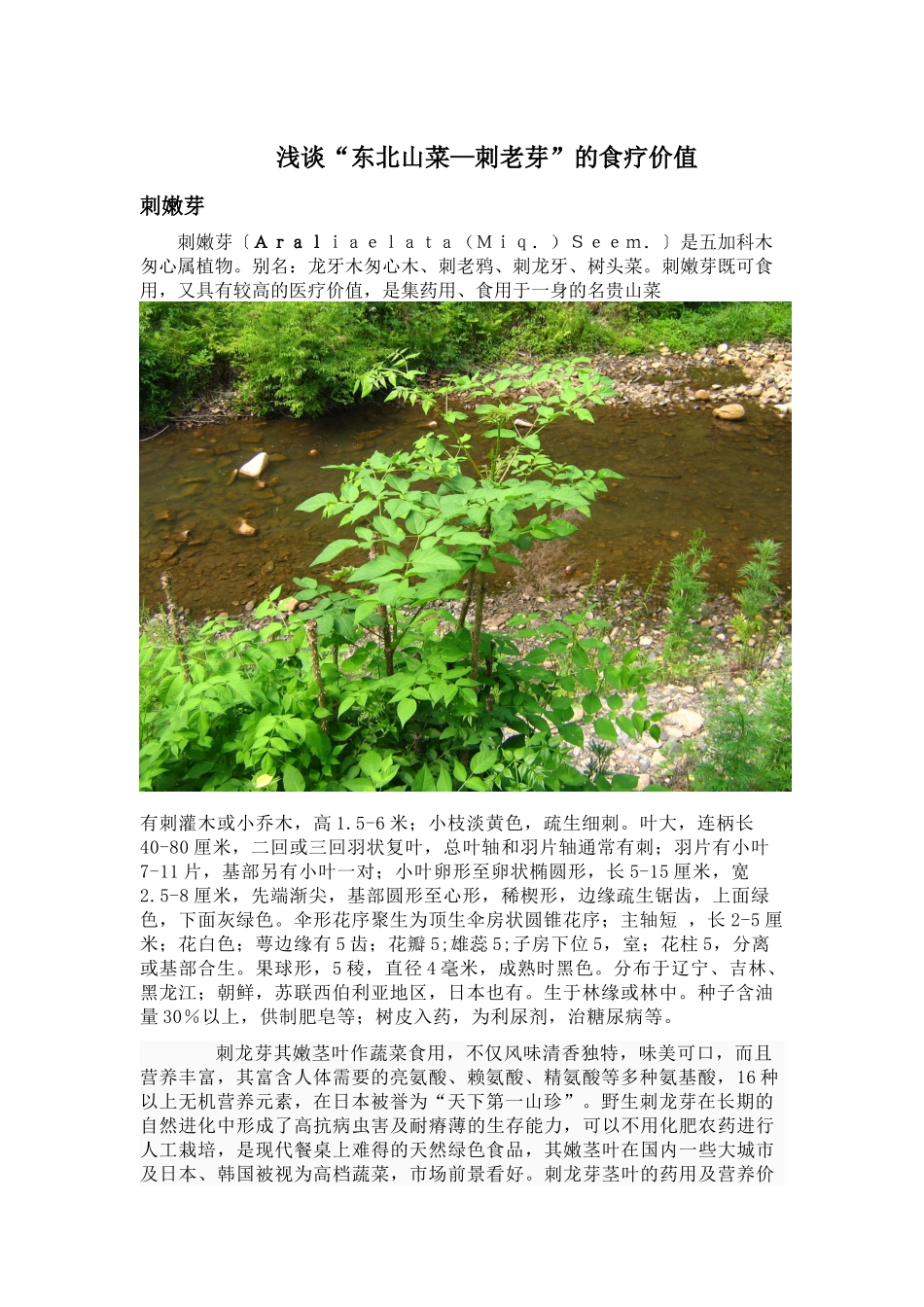 刺老芽的食疗价值_第1页