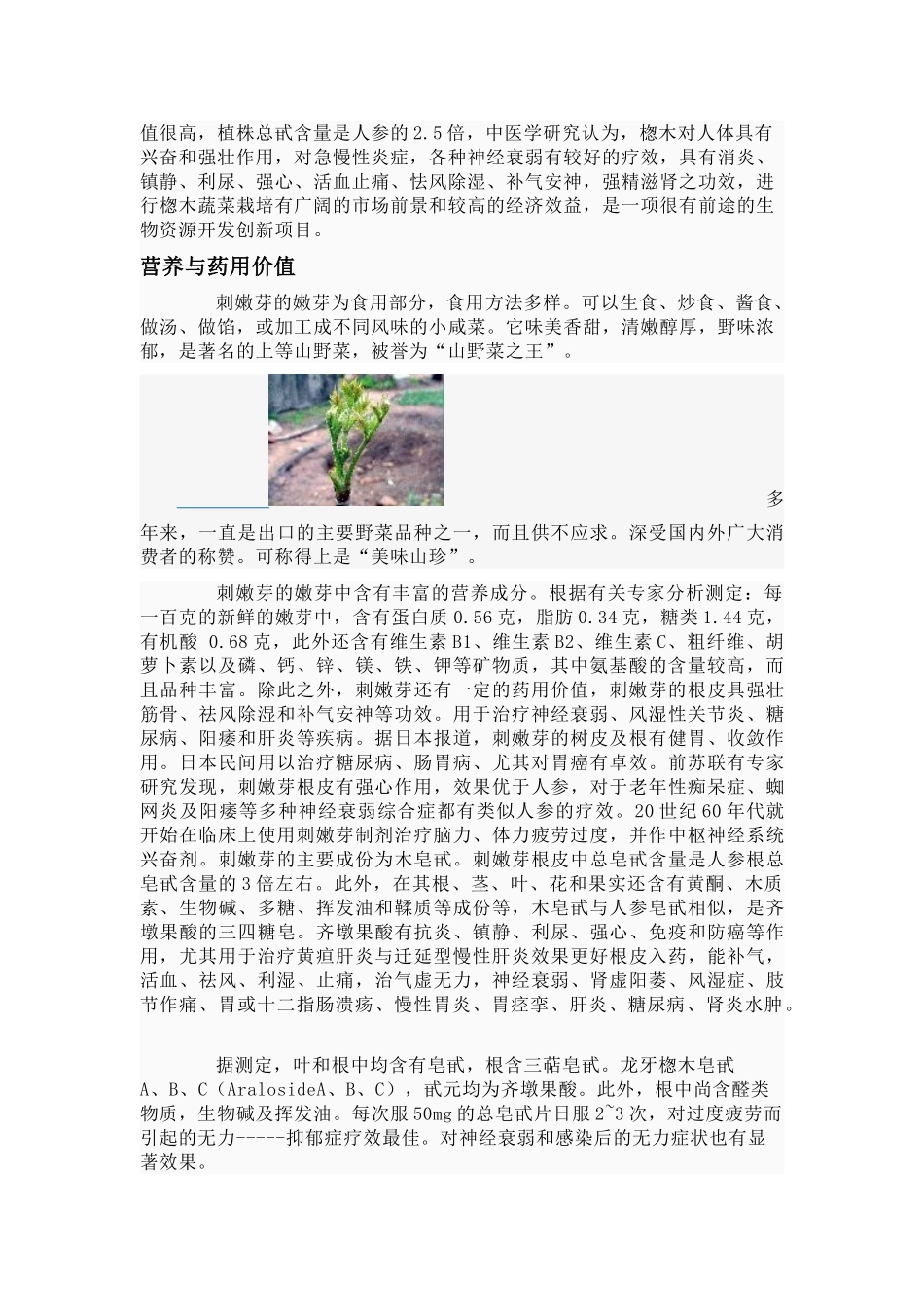 刺老芽的食疗价值_第2页