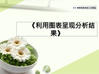 利用图表呈现分析结果
