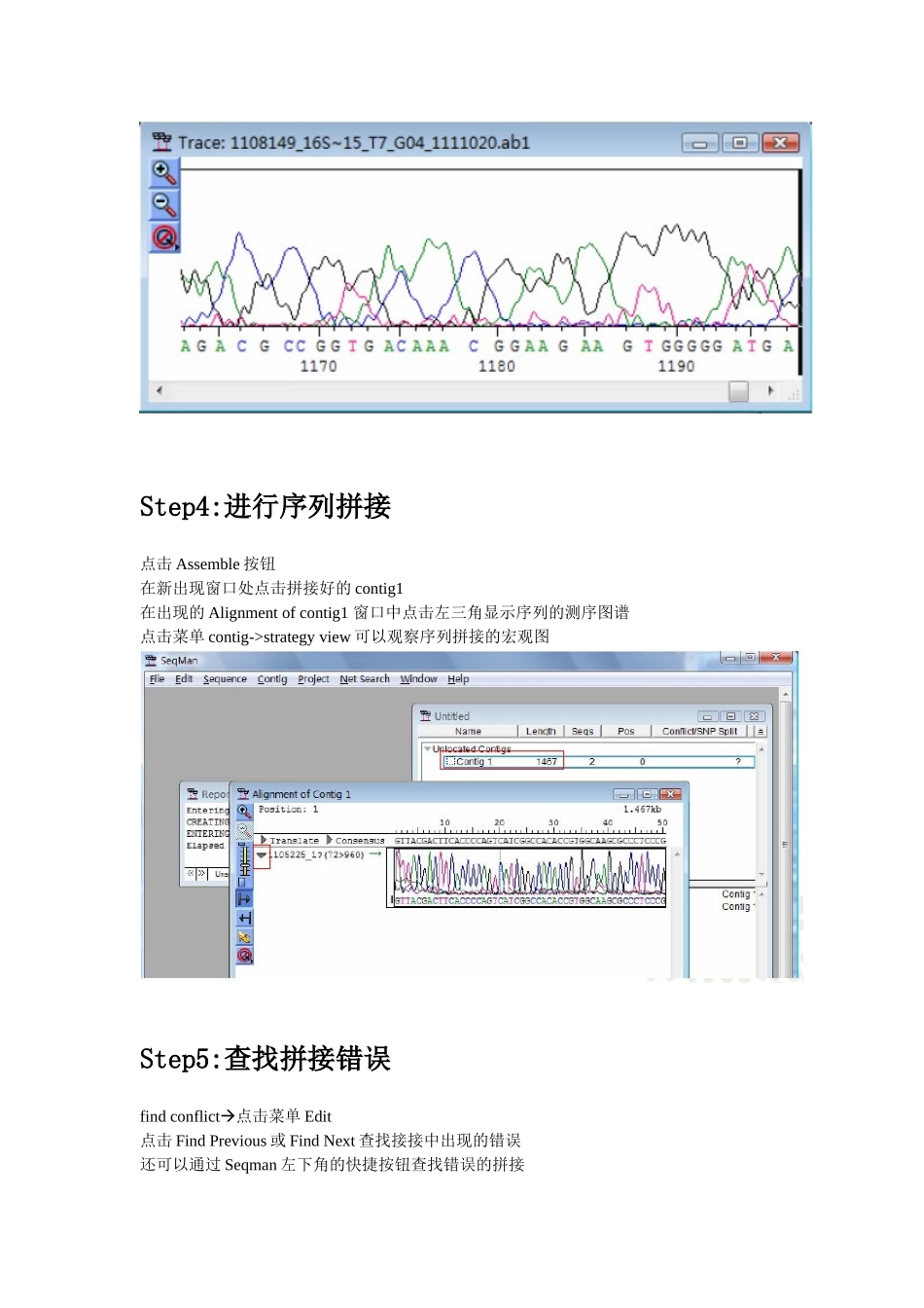 利用SeqMan进行序列拼接_第3页