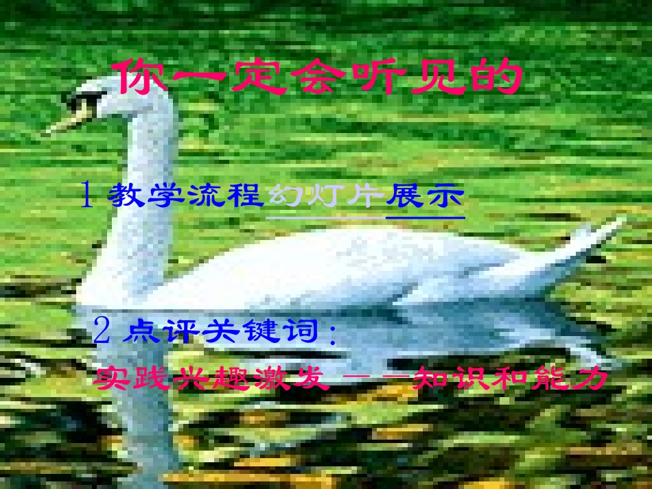 初中语文新课程教学观摩与交流_第3页