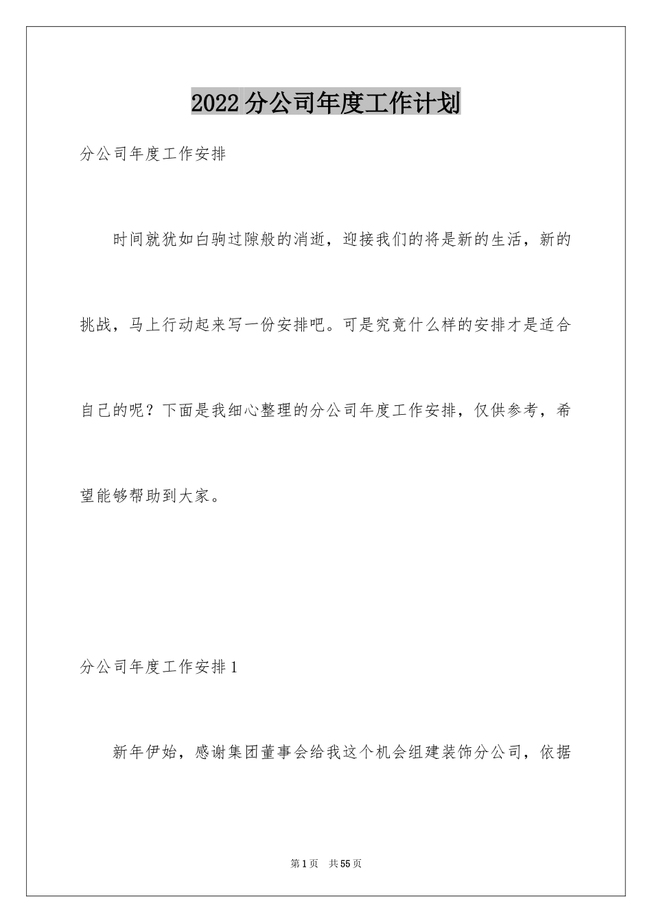 2024分公司年度工作计划_第1页