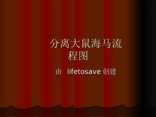 分离大鼠海马流程图